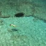 Rosemary- Kea Rent - Kastellakia Bay * Koundouros